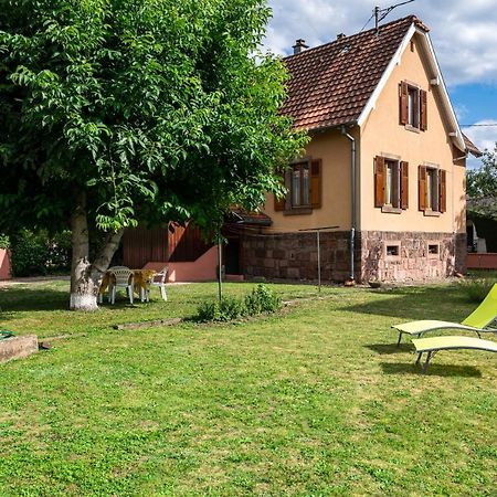 La Maison De Vacances De Colmar Et Son Jardin Exterior foto