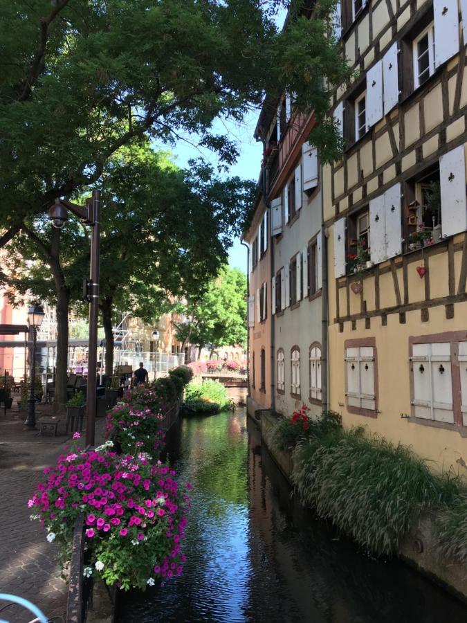 La Maison De Vacances De Colmar Et Son Jardin Exterior foto