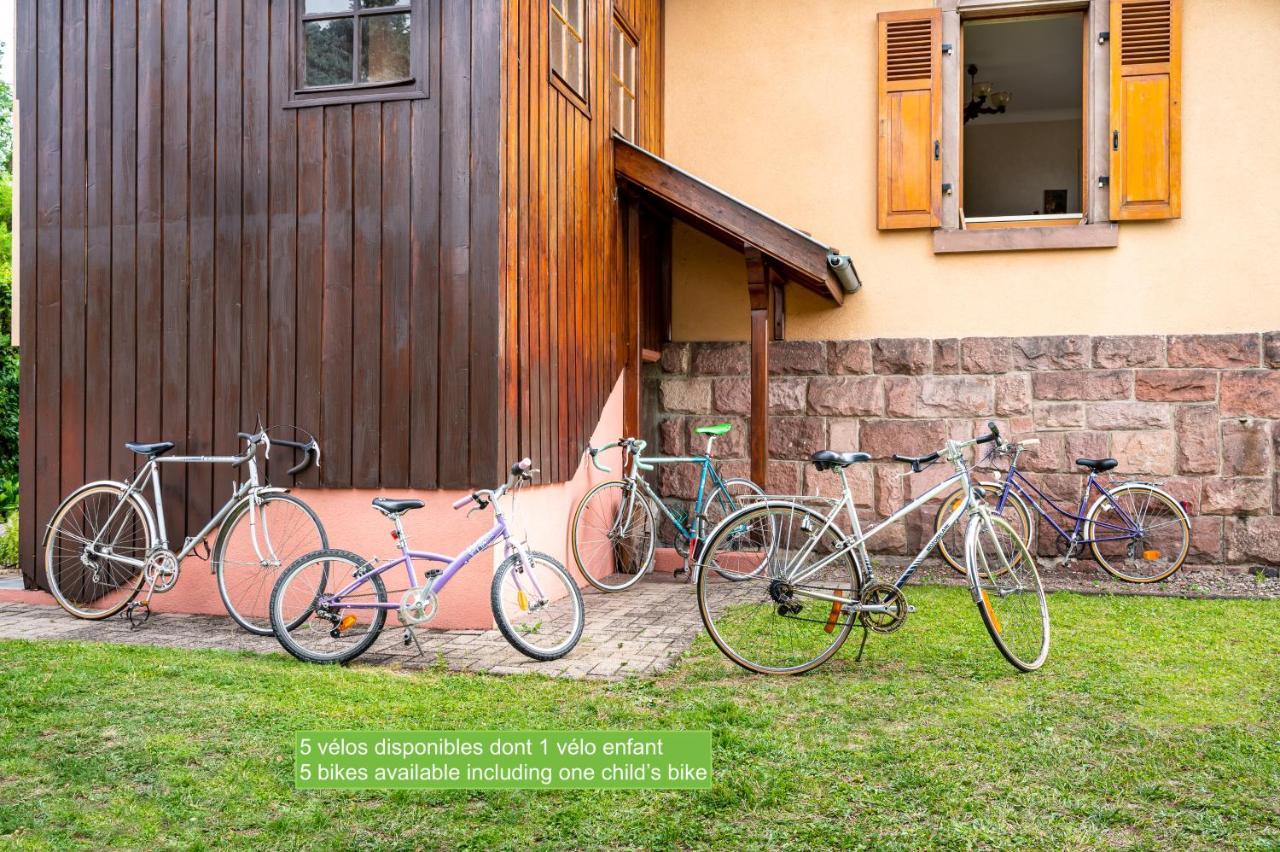 La Maison De Vacances De Colmar Et Son Jardin Exterior foto